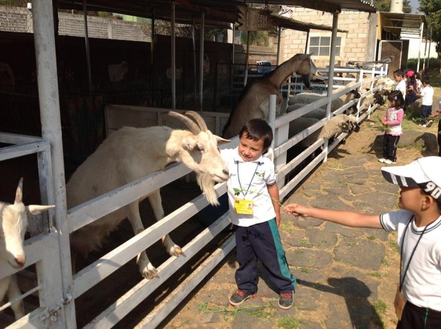 Dando de comer a los animalitos